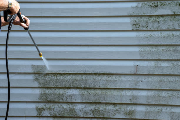 Siding Removal and Disposal in Fincastle, TN