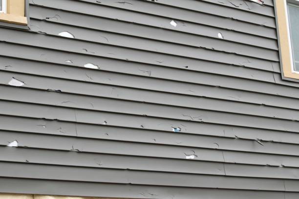 Best Fiber Cement Siding Installation  in Fincastle, TN